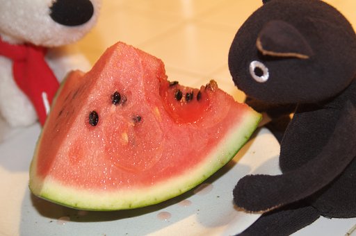ふと気づくと西瓜はかじられていて・・・