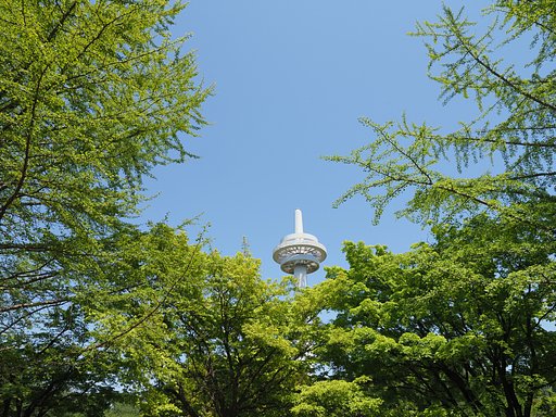 緑の惑星