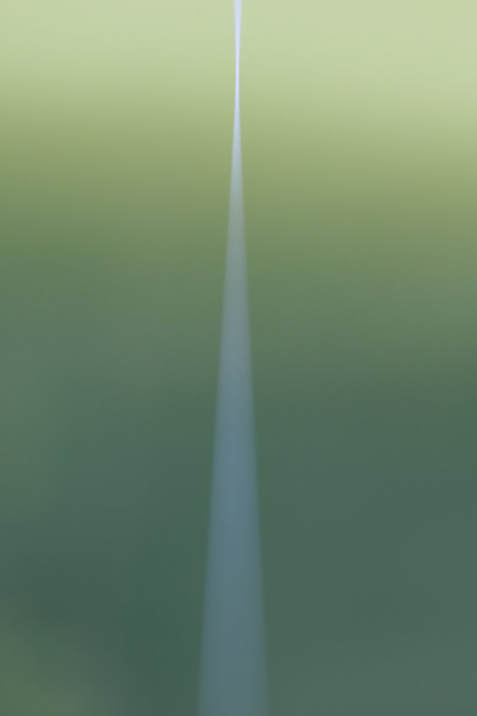 白い道