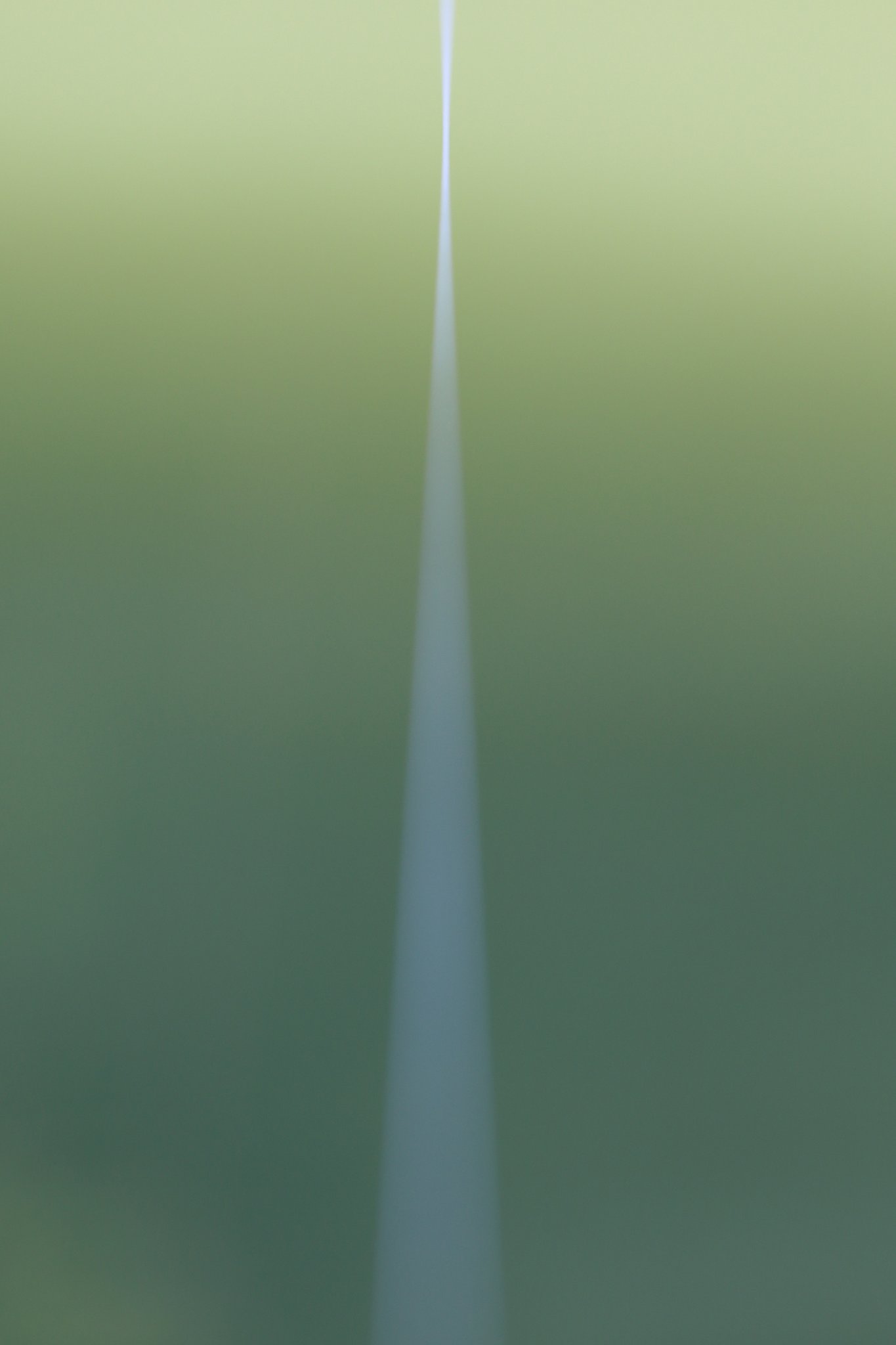 白い道