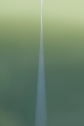 白い道