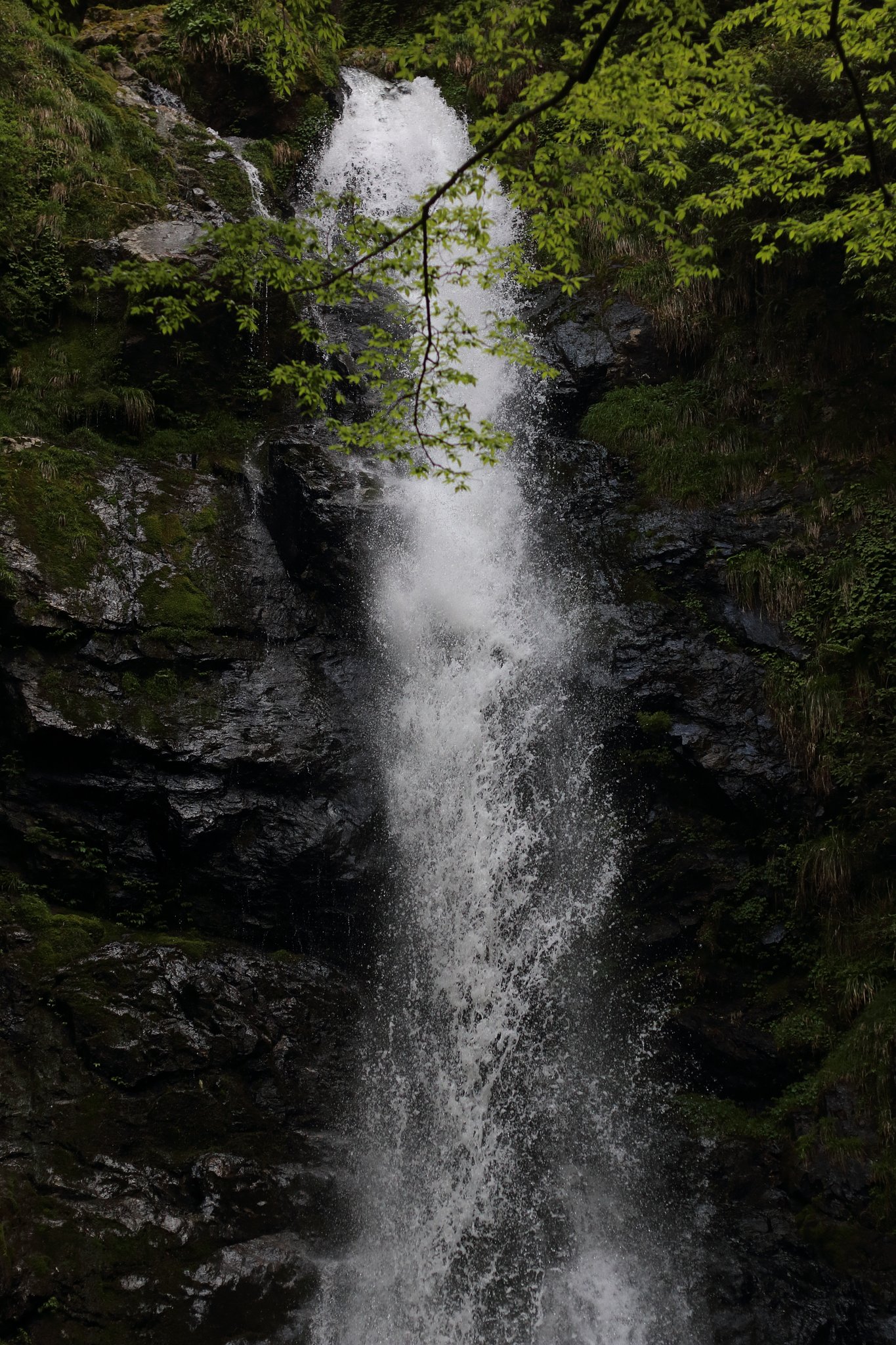 瀬戸の滝