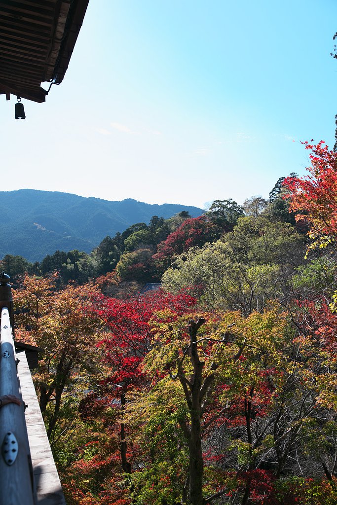 長谷寺２