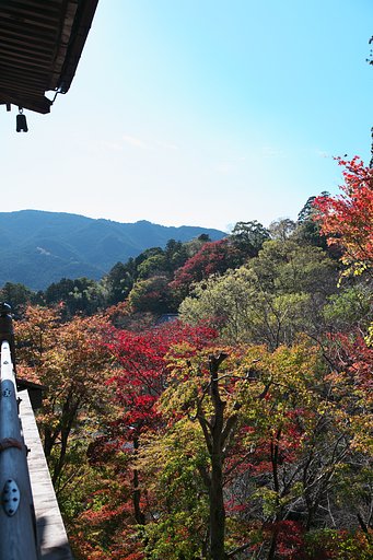 長谷寺２