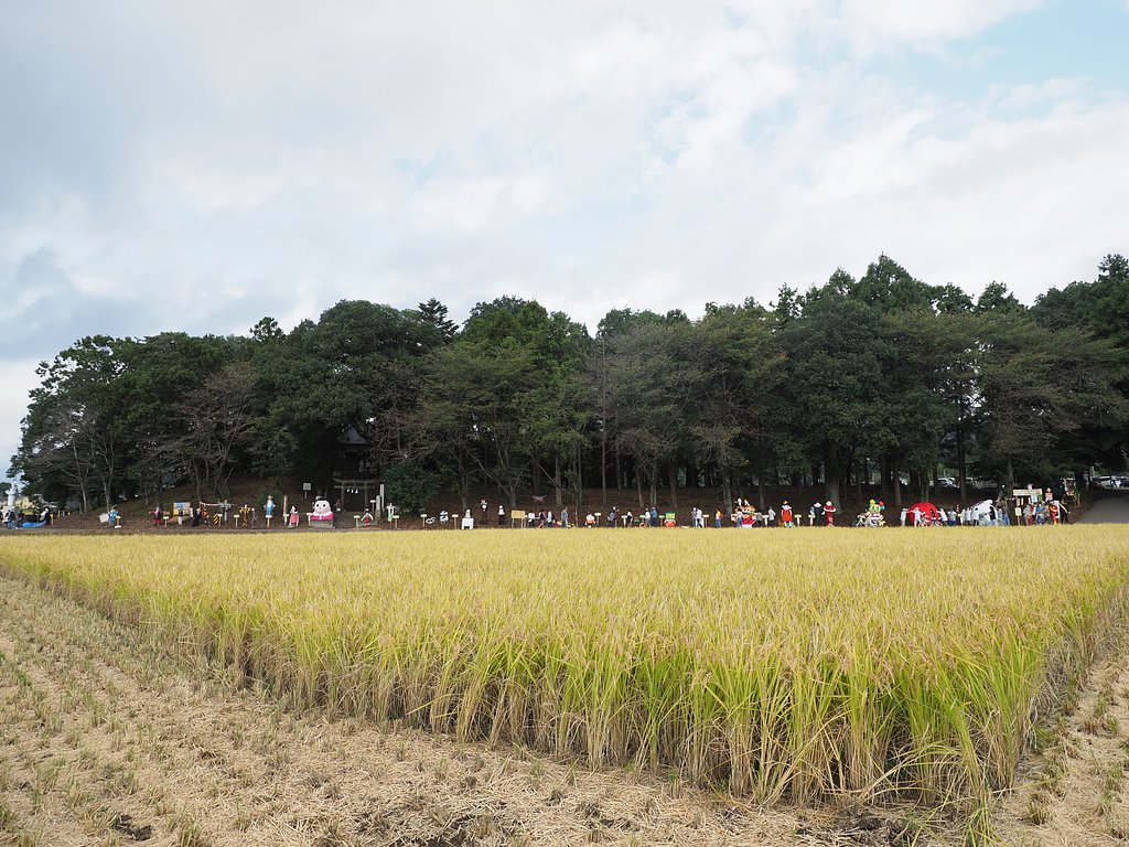 やぶ塚かかし祭り