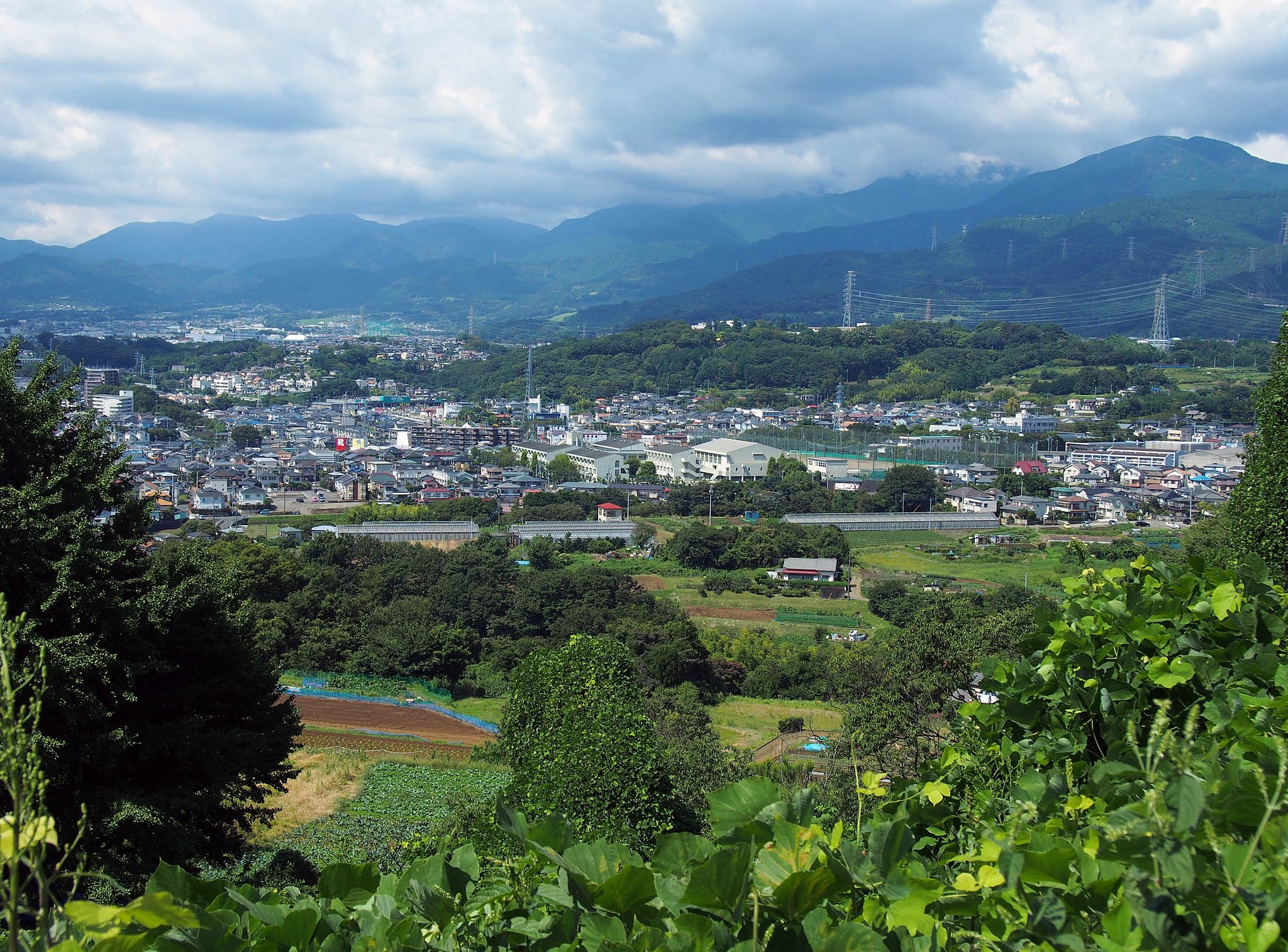神奈川県・秦野市