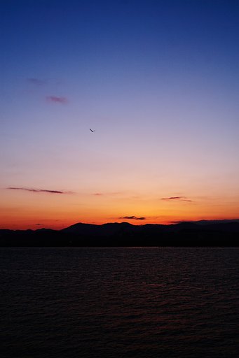 グラデーションに憧れて