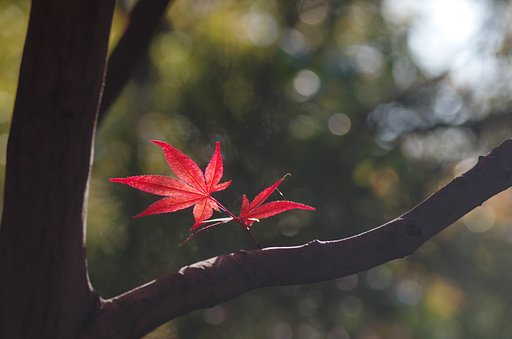 ここにありました