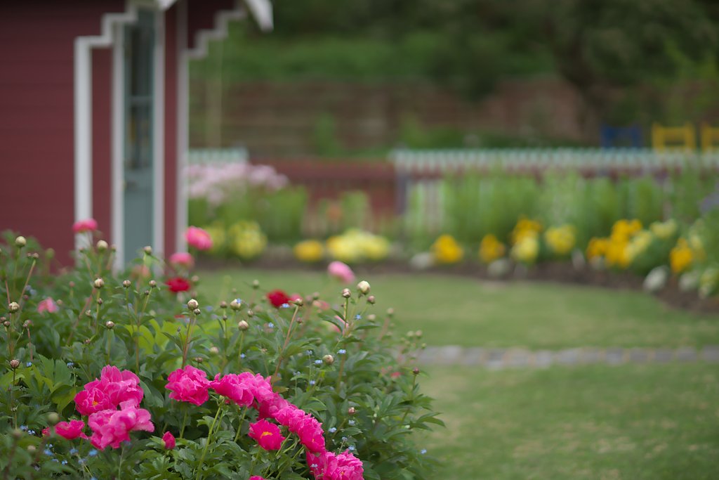 北欧風庭園