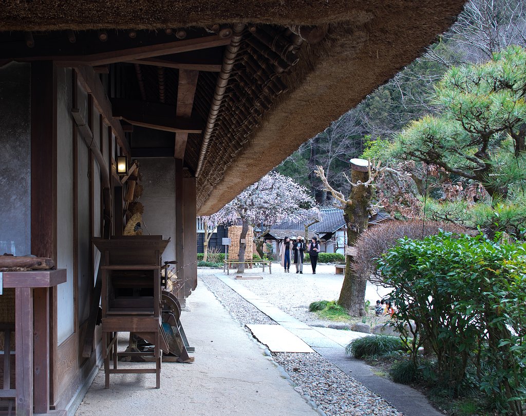 里山散策