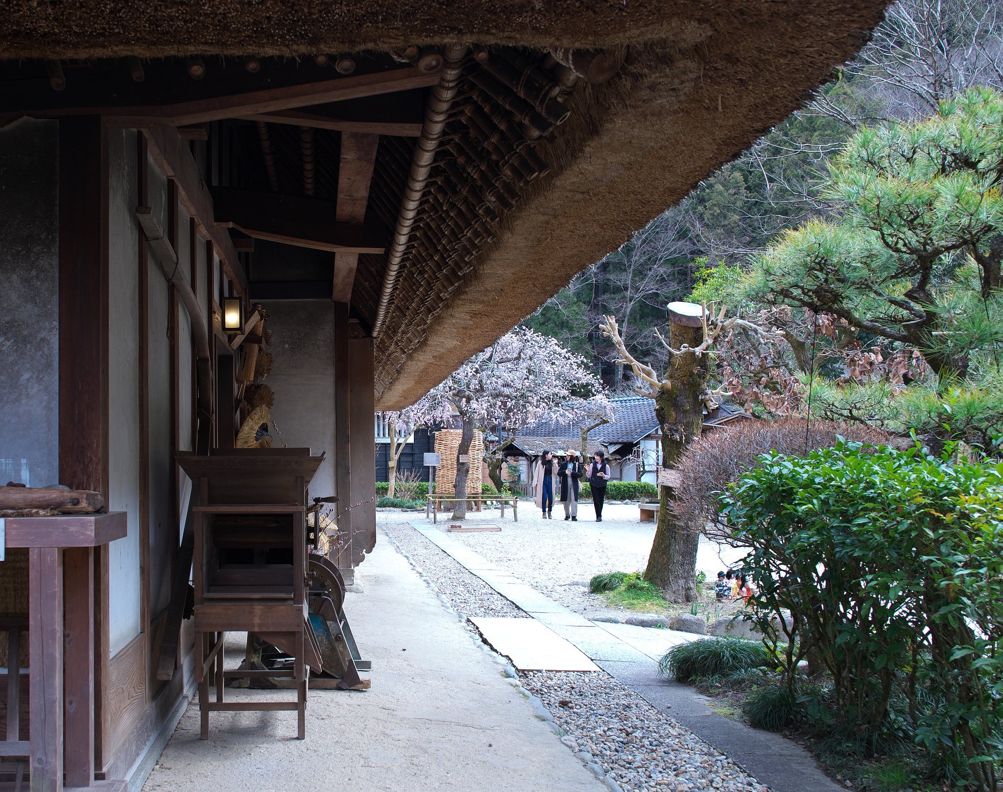 里山散策
