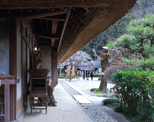 里山散策