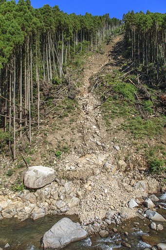 傷跡