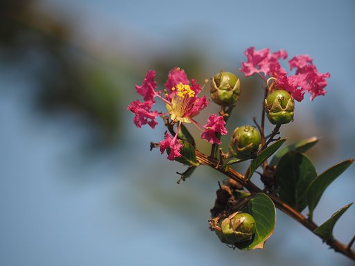 Olympus50-200mmF2.8-3.5
