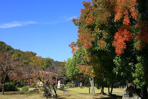 親子で散歩