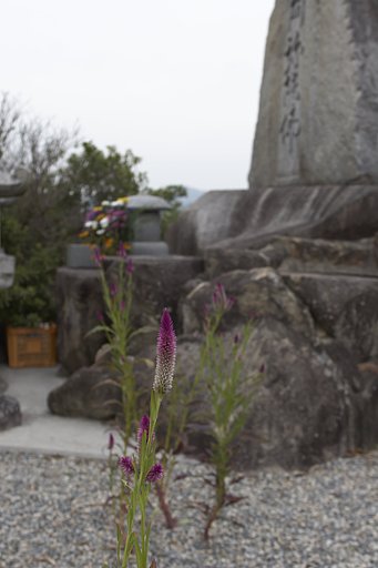 花を添える