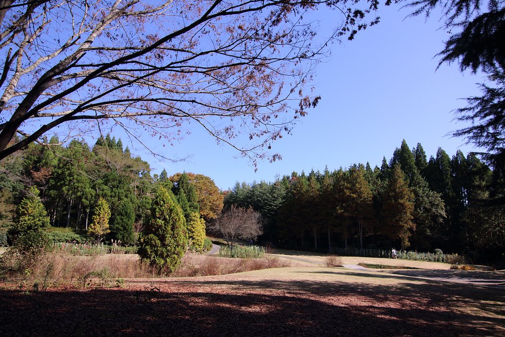 湧永満之記念庭園（第二庭園）