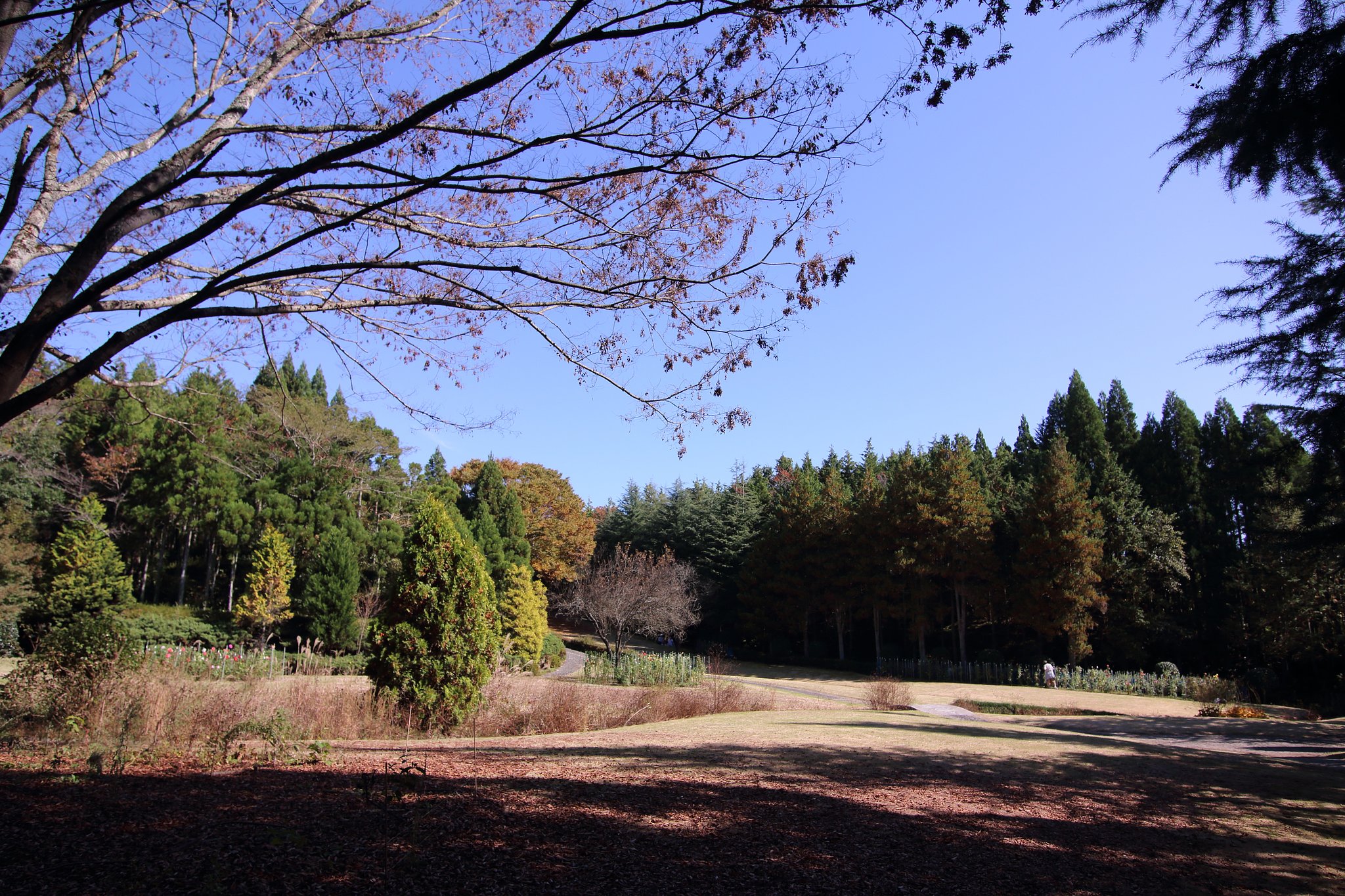 湧永満之記念庭園（第二庭園）
