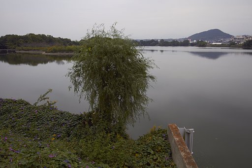 花を添える