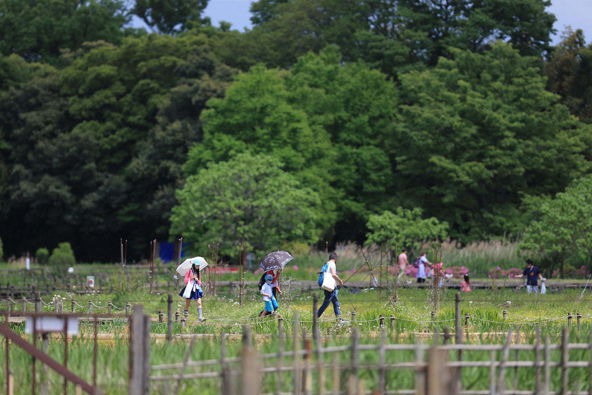 市民の公園　