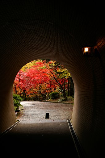《円》トンネルを抜けると