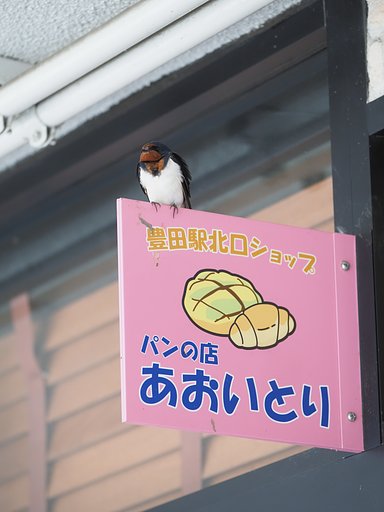 塗り忘れ？