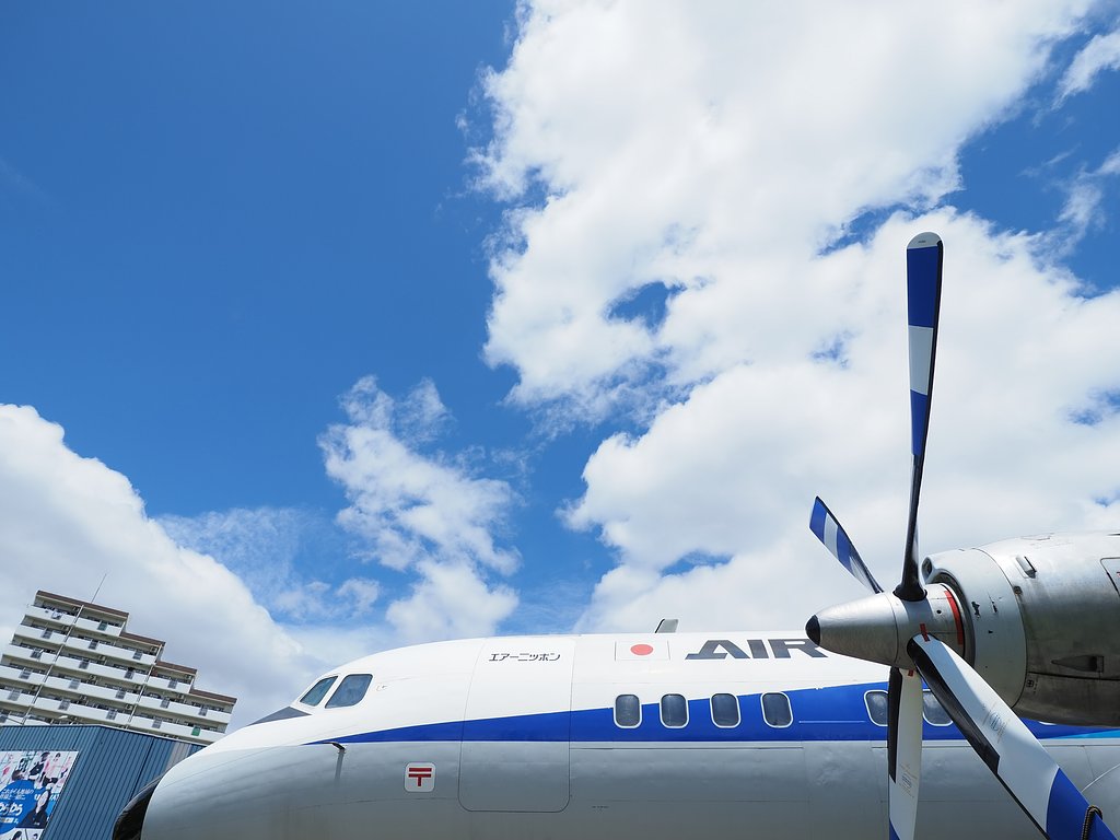もう空は跳べないけれど