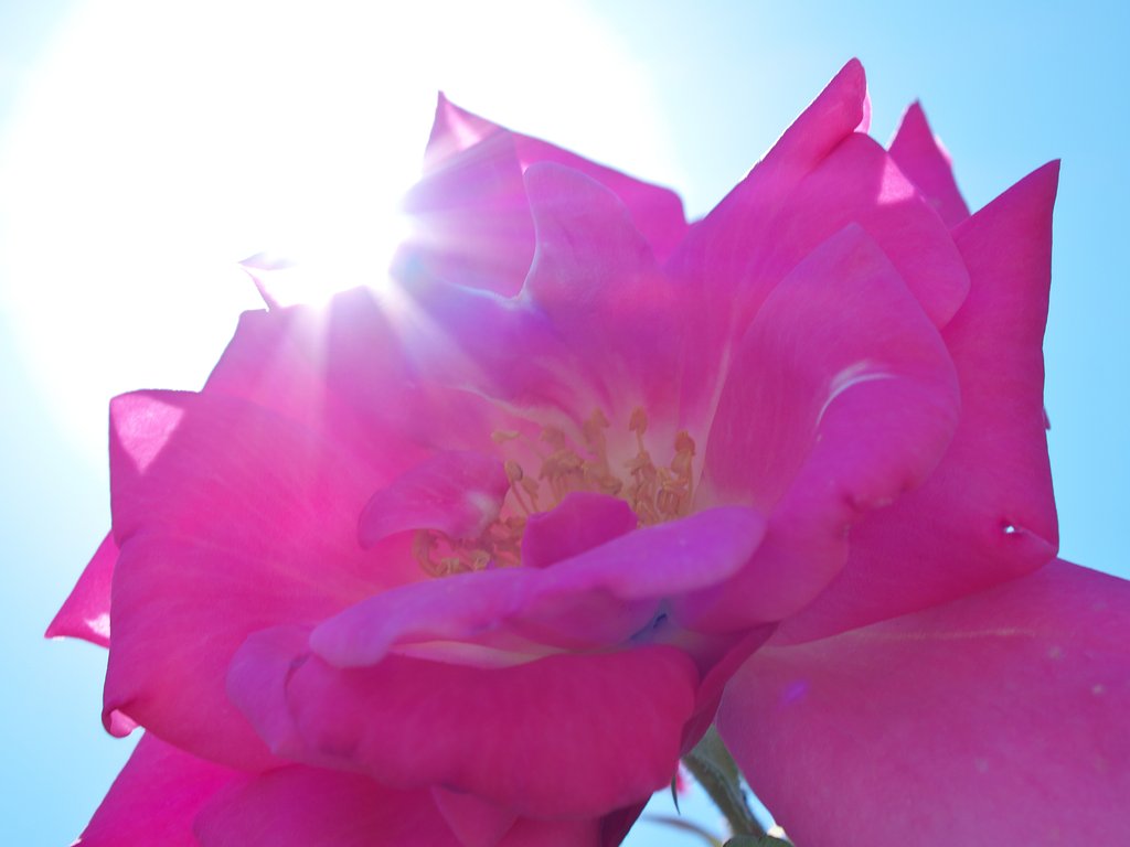 光芒撮り