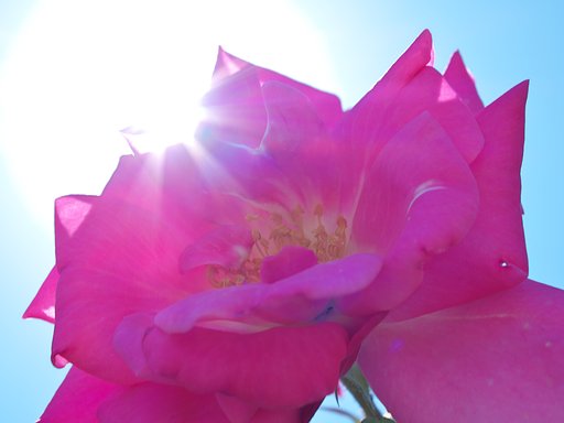 光芒撮り