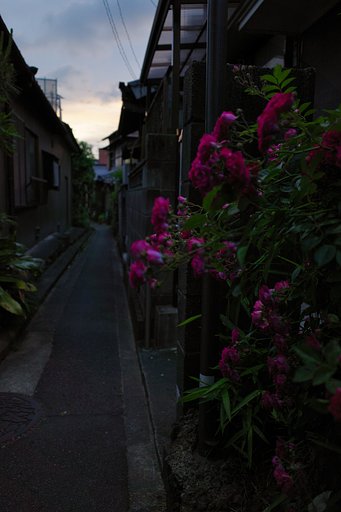 路地裏