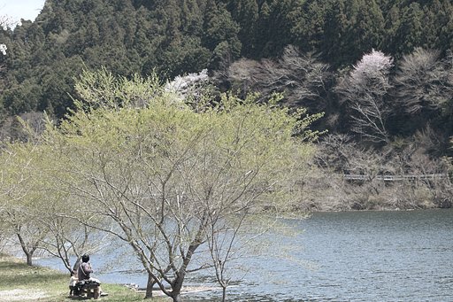 湖畔にて