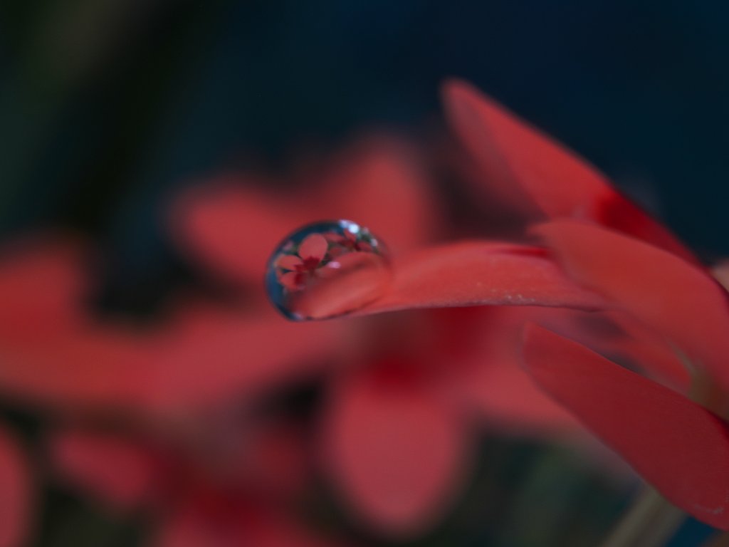 滴