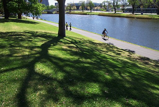 Tree & River