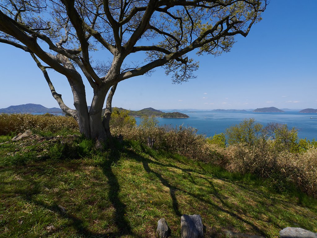 島
