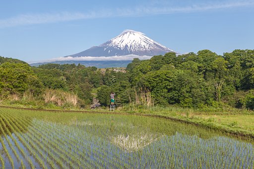 富士撮り人　下古城