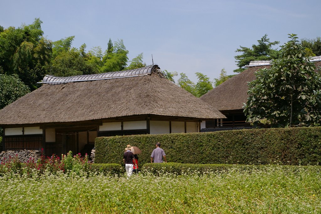 田舎風景の一画