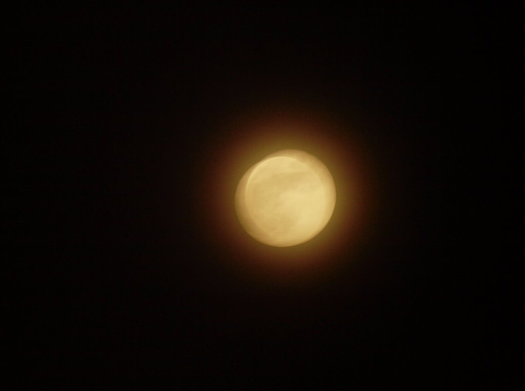 OLYPUS D 70~300mm f.4~5.6 ED