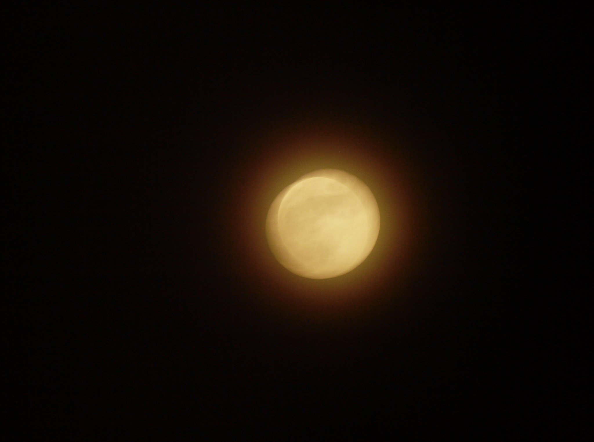 OLYPUS D 70~300mm f.4~5.6 ED