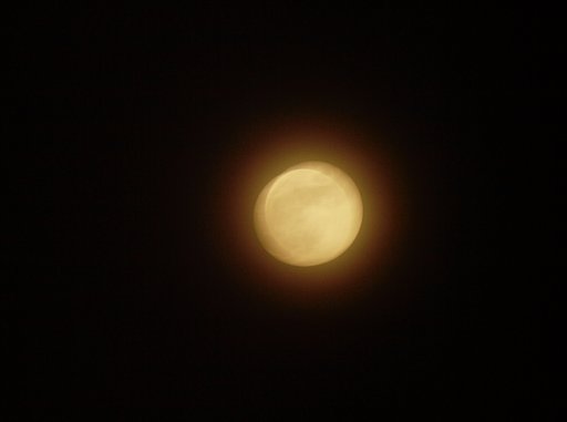 OLYPUS D 70~300mm f.4~5.6 ED