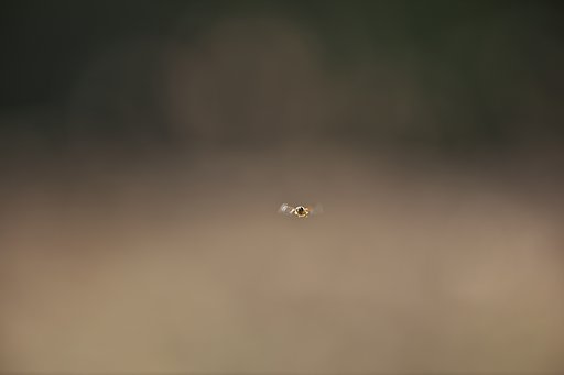 空中ホバ