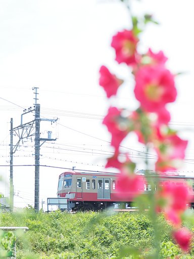 赤の出会い