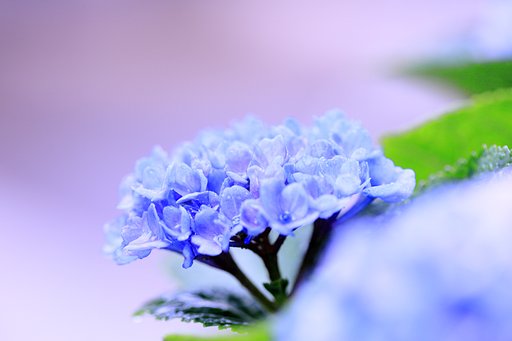 自宅でPhoto
