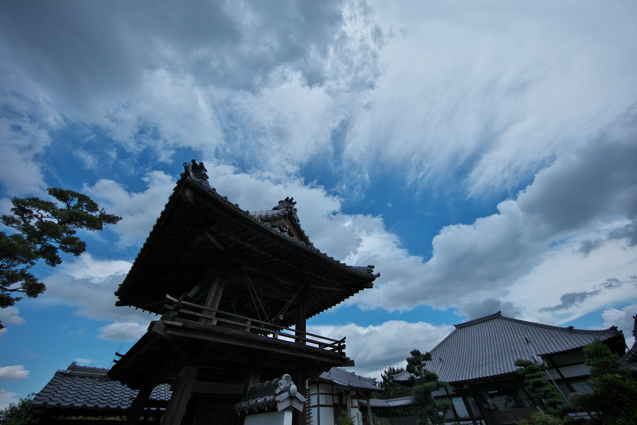梅雨晴２