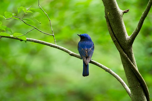 6月27日の写真