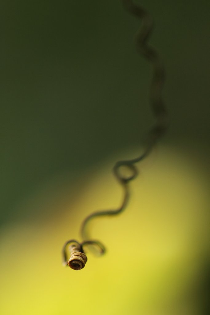 Tamron 90mm f2.8 macro 172E