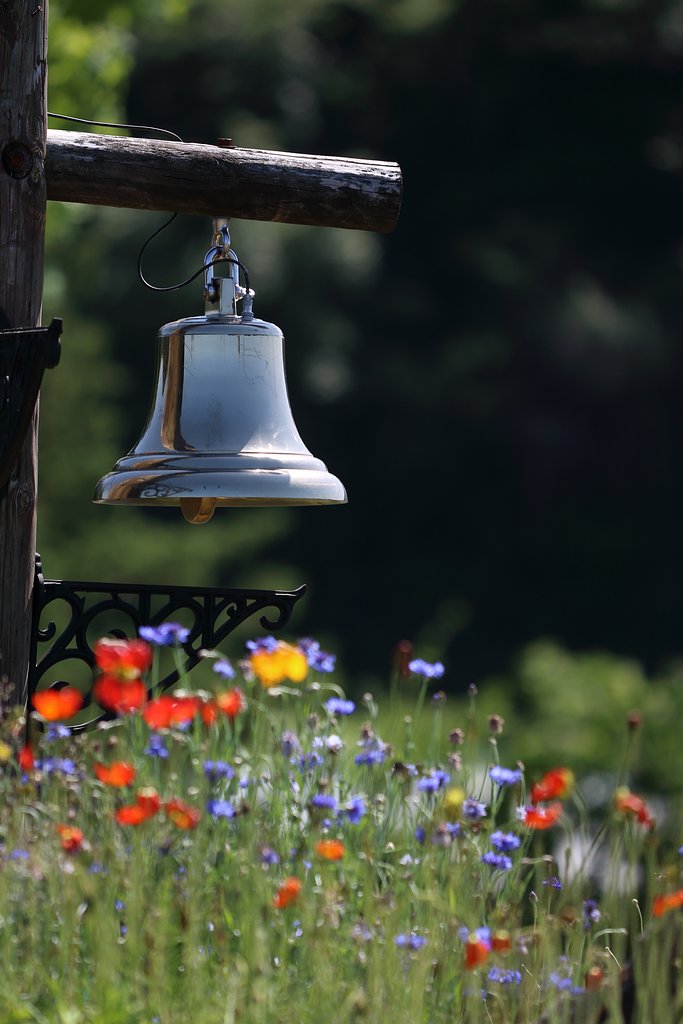 For Whom the Bell Tolls