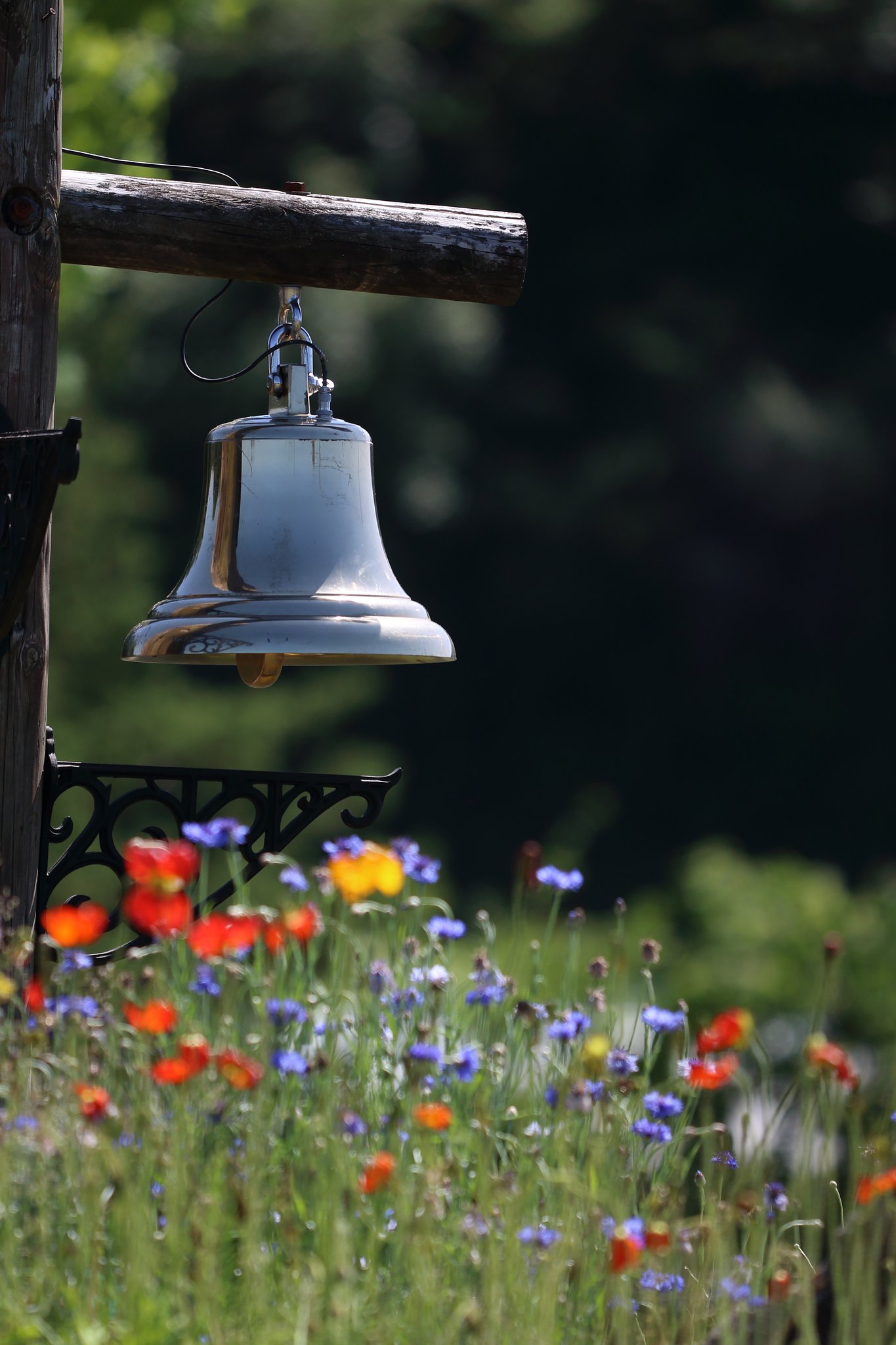 For Whom the Bell Tolls