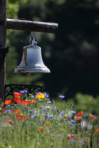 For Whom the Bell Tolls