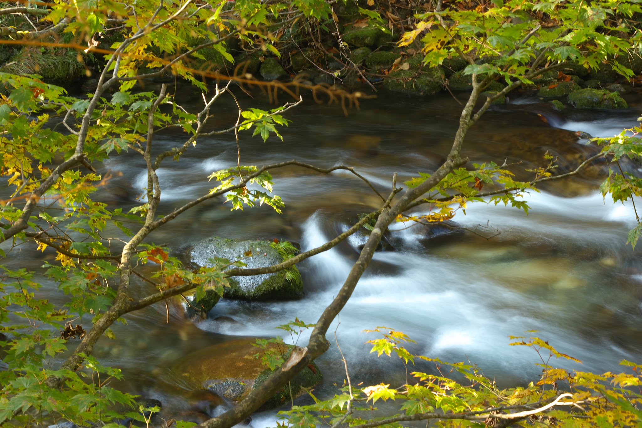 照葉峡