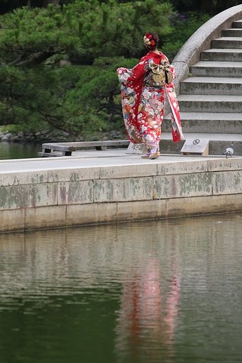 鳥撮りの休日